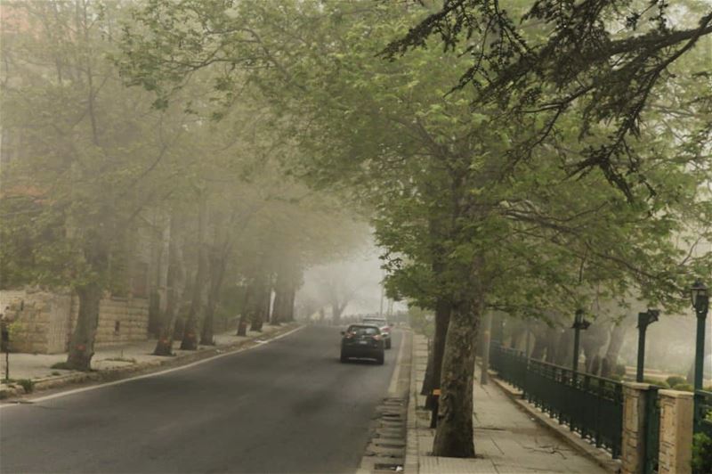 _____________________________________ sawfar lebanon naturelovers trees... (Sawfar, Mont-Liban, Lebanon)