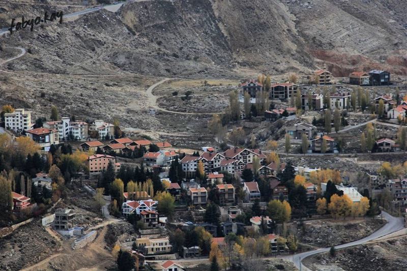 _______________________________________@lebanonadventure @livelovehiking ... (Faraya, Mont-Liban, Lebanon)