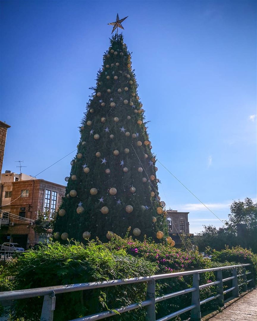 ________________________________________ libanon byblos  christmastree... (Byblos - Jbeil)