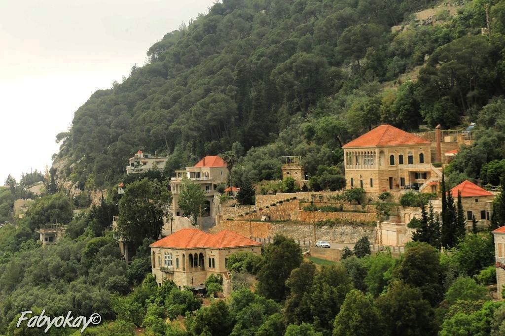 _____________________________________________ afternoon lebanonhouses... (Dlebta, Mont-Liban, Lebanon)