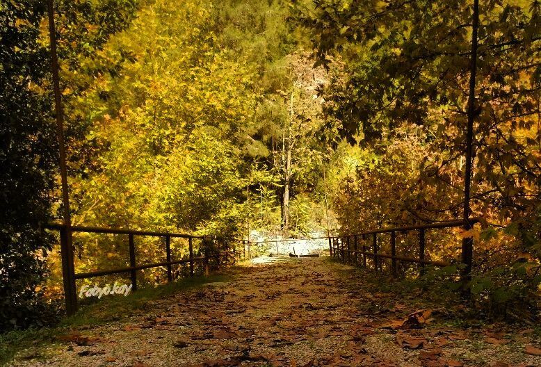 ______________________________________________ nature naturelovers hiking... (Mount Lebanon Governorate)