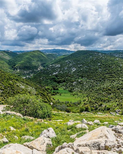 ____________________________________________________ treehugger961 ... (Habil, Mont-Liban, Lebanon)