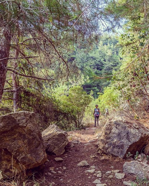 ____________________________________________________ treehugger961 ... (Baakline, Mont-Liban, Lebanon)