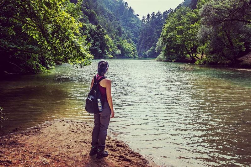 ____________________________________________________ treehugger961 ... (Chouwen)