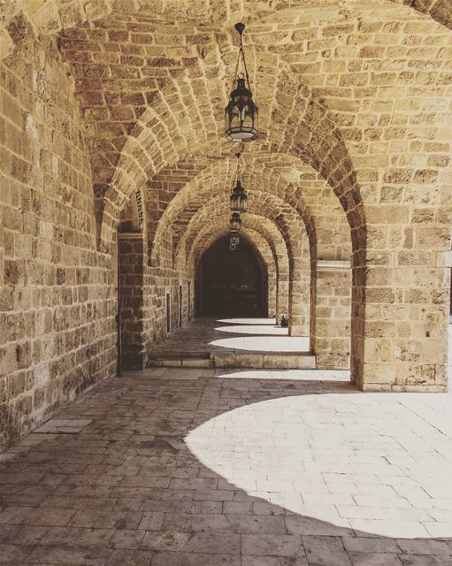 ____________________________________________________ treehugger961 ... (Tripoli, Lebanon)