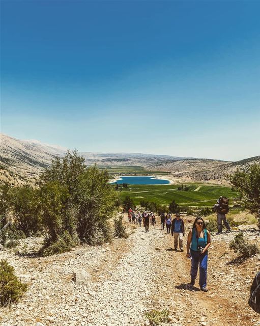 ____________________________________________________ treehugger961 ... (El Yammoûné, Béqaa, Lebanon)