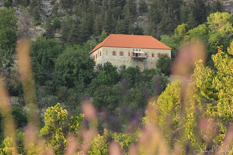 💚_______________________________________________________ JDPhotography... (Ehden, Lebanon)