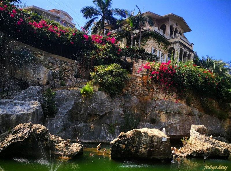 _______________________________________Location ; jounieh/LebanonCamera... (Joünié)