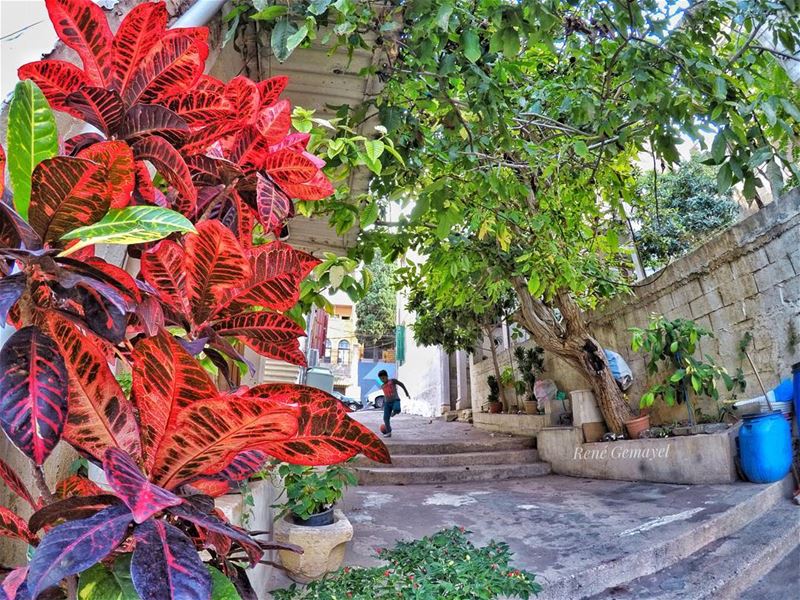 ..._______________________Don't buy the house,Buy the neighbourhood.... (Achrafieh, Lebanon)