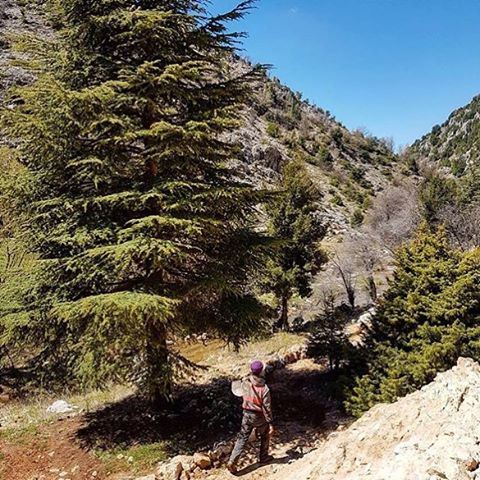 A 30 minutes du centre ville de Byblos, les plus belles randonnées vous attendent... livelovebyblos by @live.love.had.solo