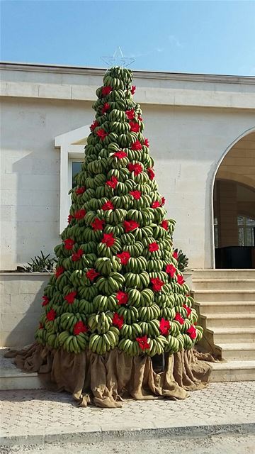 A 5m Christmas tree made of bananas in the town of Damour.