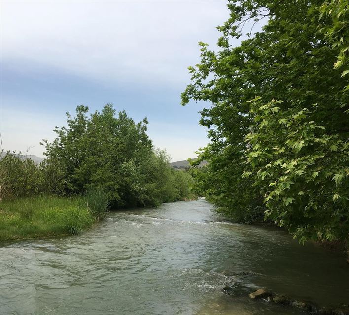 A beautiful day at  khardali  river  southlebanon  lebanon beautiful ... (Abou Charbel - Khardale)