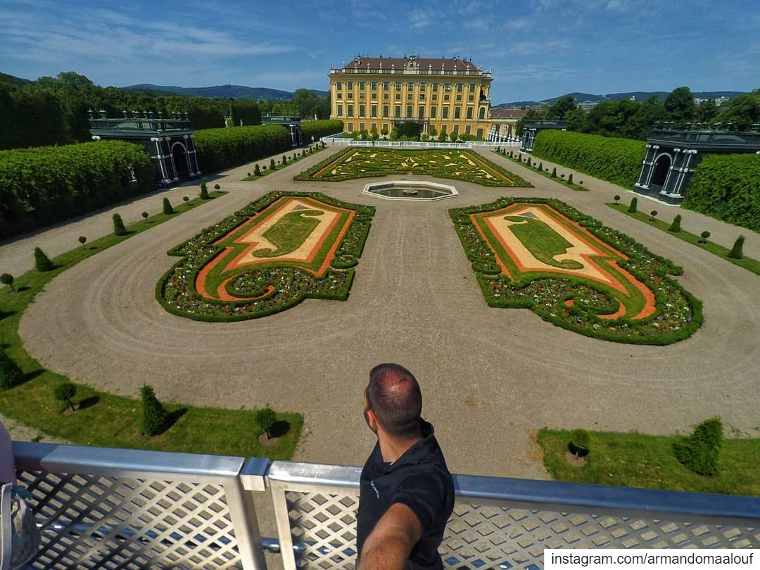 A beautiful piece of botanic architecture at Schönbrunn Palace. These... (Schonbrunn Palace)