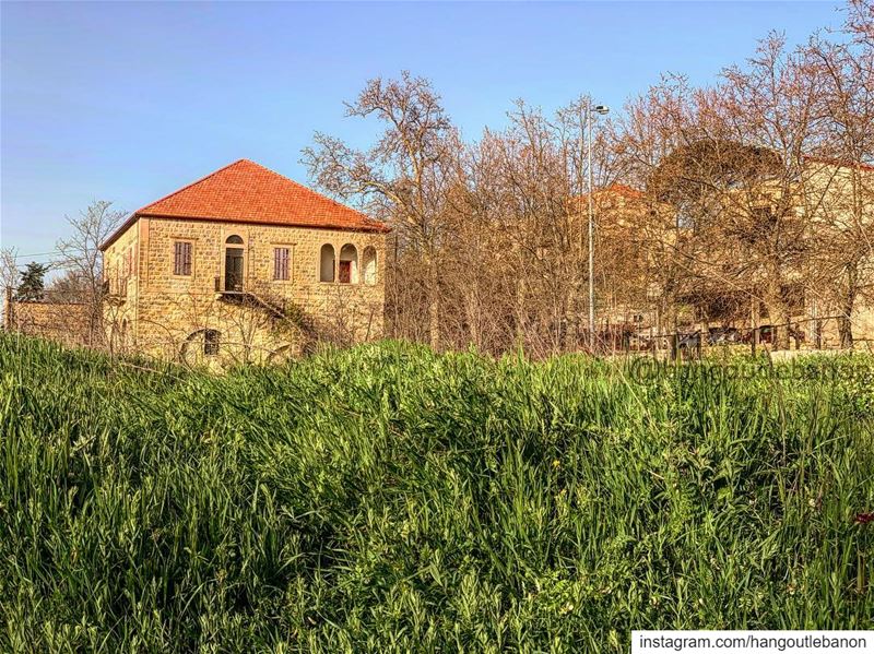 A beautiful soft walk !  Sawfar- hangoutlebanon  lebanonpocketguide ... (Sawfar, Mont-Liban, Lebanon)