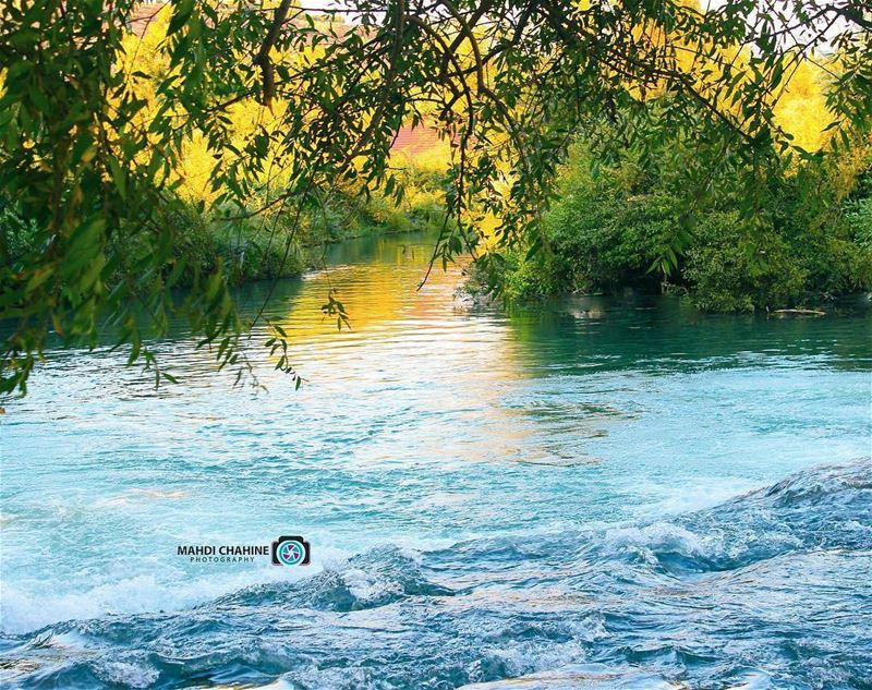 A beautiful view from  assiriver Photo credits to @mahdichahine.photograph