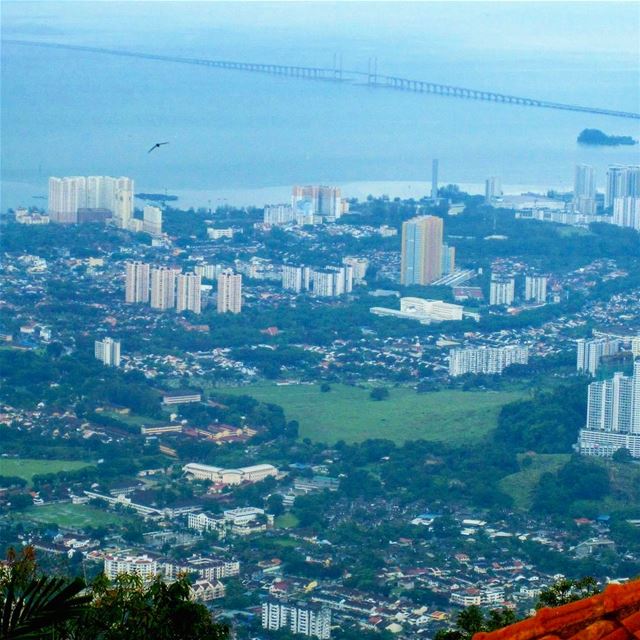 A Bird and A Bridge and all Green in between instatraveling  instagood ... (Penang, Malaysia)