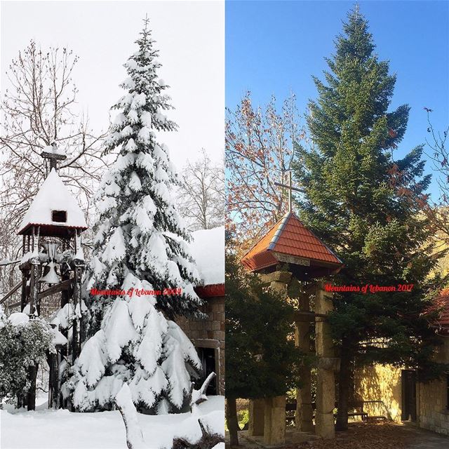 A blessed Christmas to all!This Christmas we share a comparative through-b (Faraya, Mont-Liban, Lebanon)