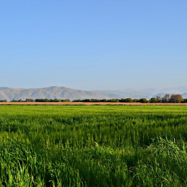 A breathtaking view from bekaa!LebanonPhoto taken and edited by me( ...