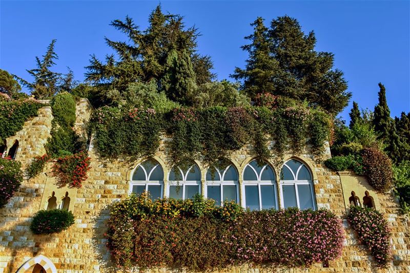 A bright sun, a clear sky, pretty flowers, tall trees and a beautiful... (Broummâna, Mont-Liban, Lebanon)