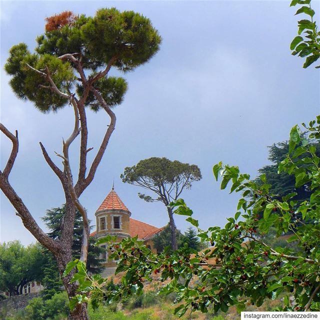 A castle in the clouds..... lebanon  castle  ainzhalta  ... (Aïn Zhalta, Mont-Liban, Lebanon)