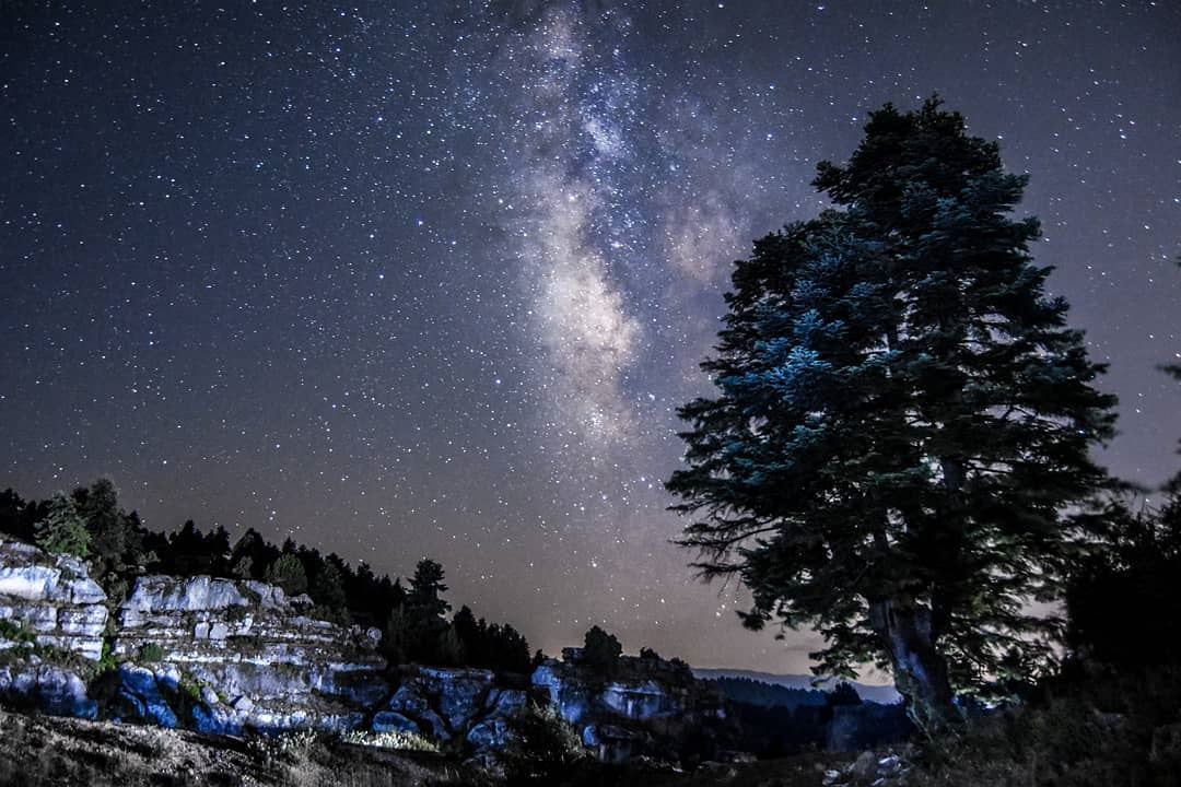 A chilly night, The forest of Kamoua Akkar 14/7/2018 stars  sky  forest ... (`Akkar, Liban-Nord, Lebanon)