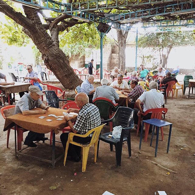 A colorful cafe full of life ✨🌿 liveauthentic lebanonbyalocal tripolibyalocal tripoli (قهوة التل العليا)