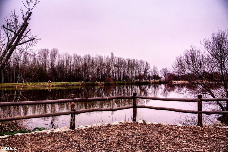 A corner of peace, where the lake standstill. There is a lot of... (Deïr Taanâyel, Béqaa, Lebanon)