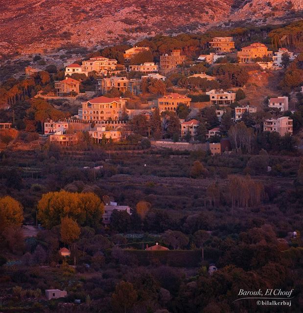A cozy autumn sunset over Barouk, el Chouf, Lebanon ----------------------- (Bâroûk, Mont-Liban, Lebanon)