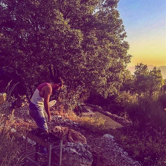 A cute unexpected  visitor 💚  camping  sunset  livelovebmohray ... (Bmahray, Mont-Liban, Lebanon)