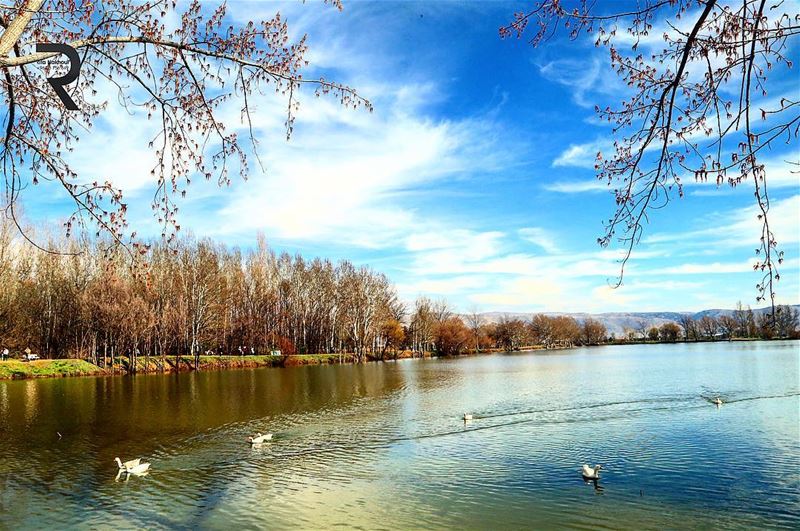 A Day at the lake restores the soul...  WorldCaptures ...