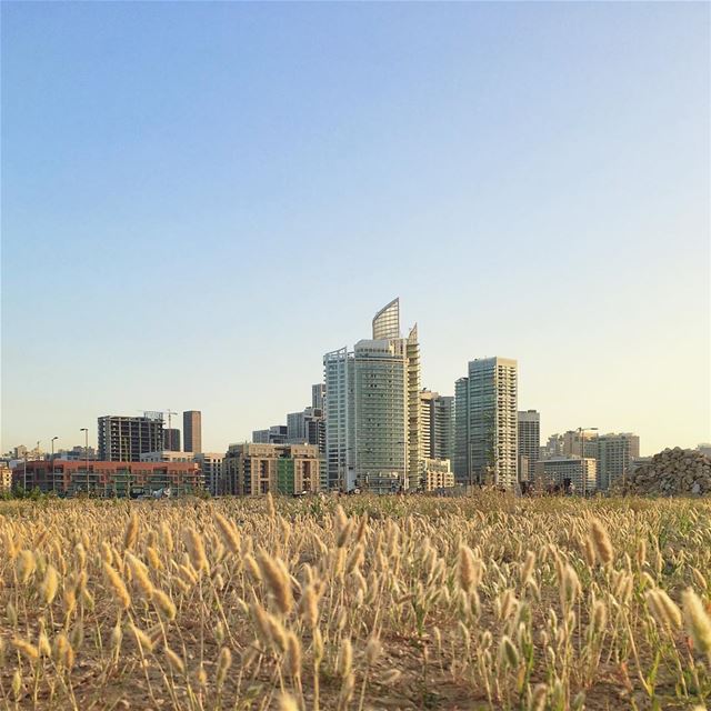 A different perspective of beirut 🌾😍 (Beirut, Lebanon)