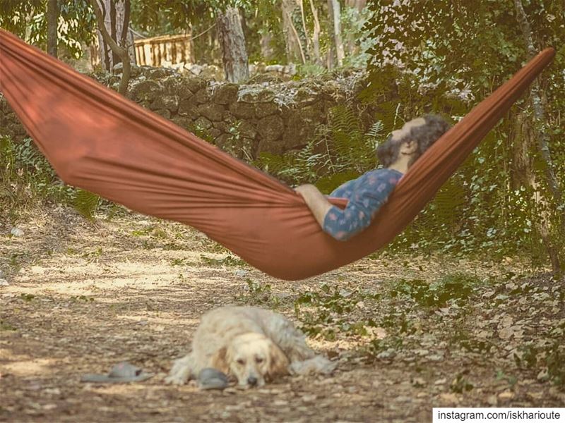 'a dog will never leave ur side; well...unless he smelled some food...' (Chouwen)