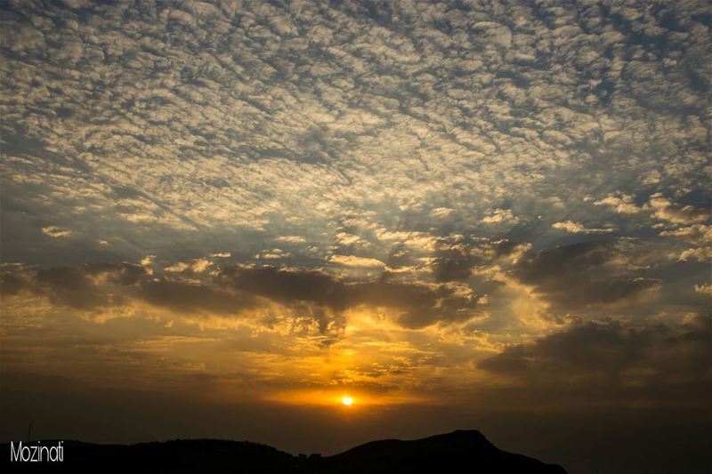 A dream is the bearer of a new possibility, the enlarged horizon, the... (Sawfar, Mont-Liban, Lebanon)