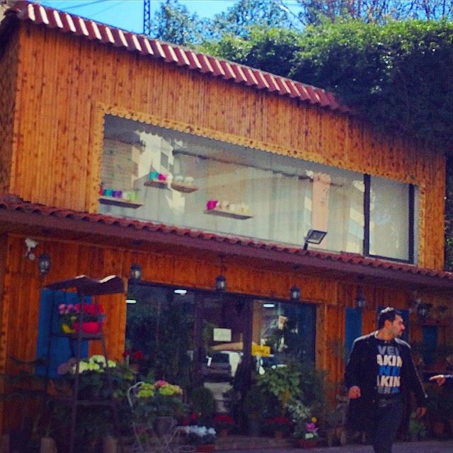 A flower shop in jounieh.  photography  outdoorphotography  flowers  shop ...