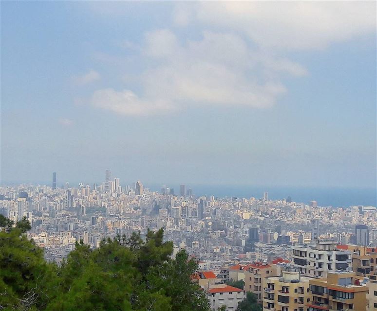 A forest of cement.....  Beirut  Crowdy  Overpopulated  overpopulation ... (USJ Mansourieh)