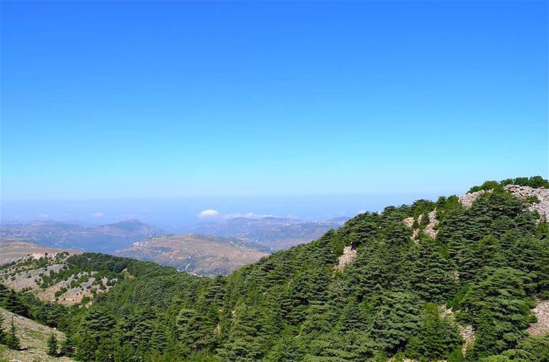 A  🖼 from  🇱🇧. (Aïn Zhalta, Mont-Liban, Lebanon)