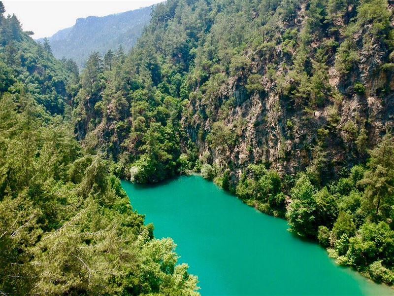 A  🖼 from  🇱🇧. (Chouwen)