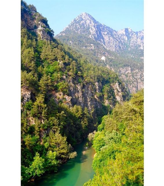 A  🖼 from  🇱🇧. (Chouwen)