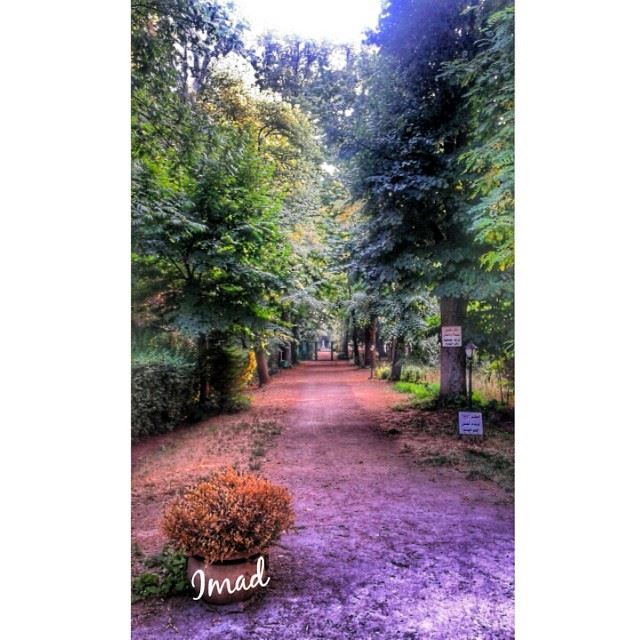 A  Gate is never an  obstacle between you and your  Goals LiveLoveZahleh... (Deïr Taanâyel, Béqaa, Lebanon)