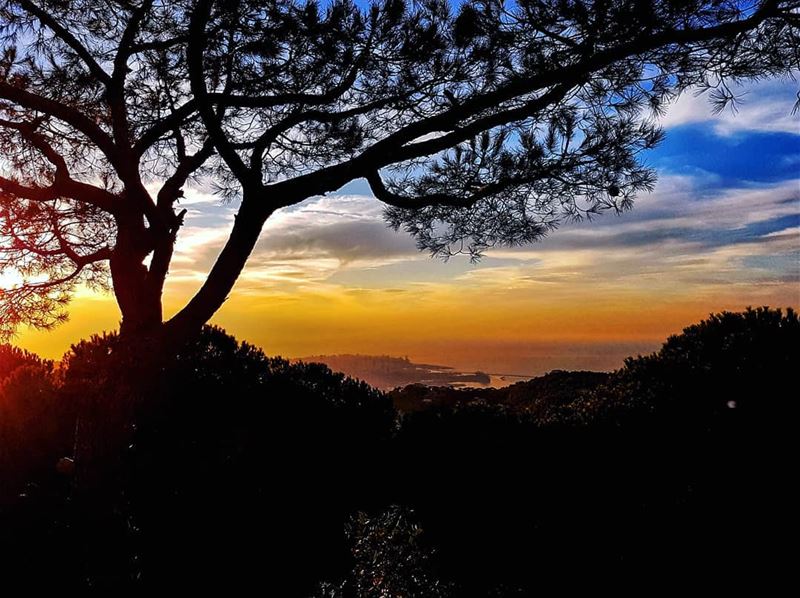 A glimpse of Beirut city from behind the trees  beirut  city  silouette ... (Mount Lebanon Governorate)