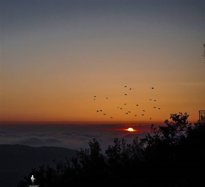 A goal without plan is just a wish... sunset🌅  sunset_ig  chouf jbaa...