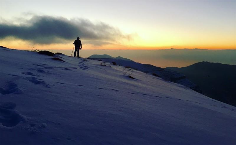 A good friend listen to your adventures, a best friend makes them with... (Chabrouh Dam)