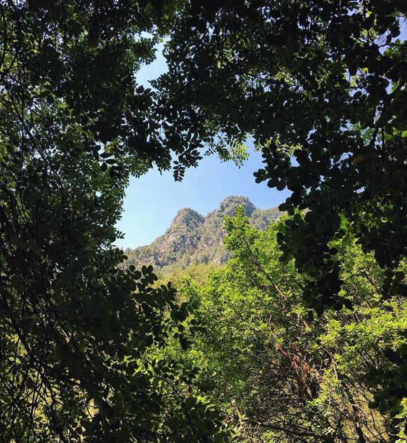 'a good photograph is knowing where to stand...'''' photography ... (Chouène, Mont-Liban, Lebanon)