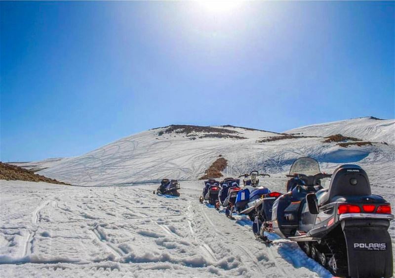 A great photo by @livelove_faraya & @wildfireephotography  polarislebanon...