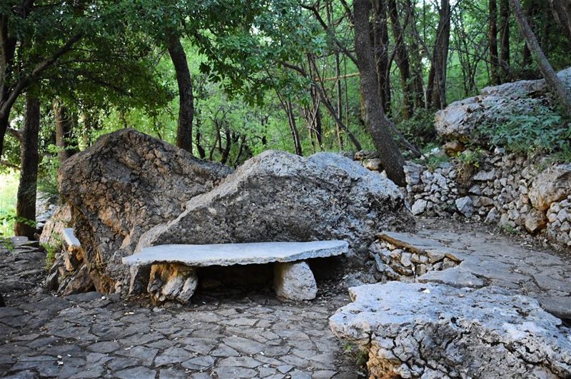 A great society grows great when old men plant trees whose shade they know... (Baskinta, Lebanon)