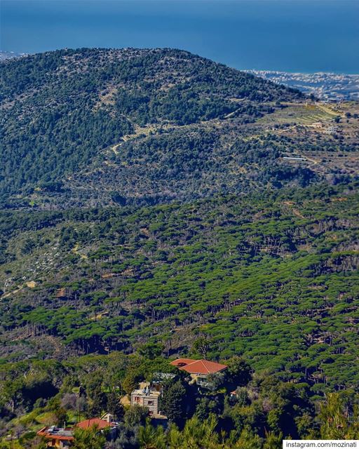 A green nature can be a medicine for our mind pain===================... (Jezzîne, Al Janub, Lebanon)