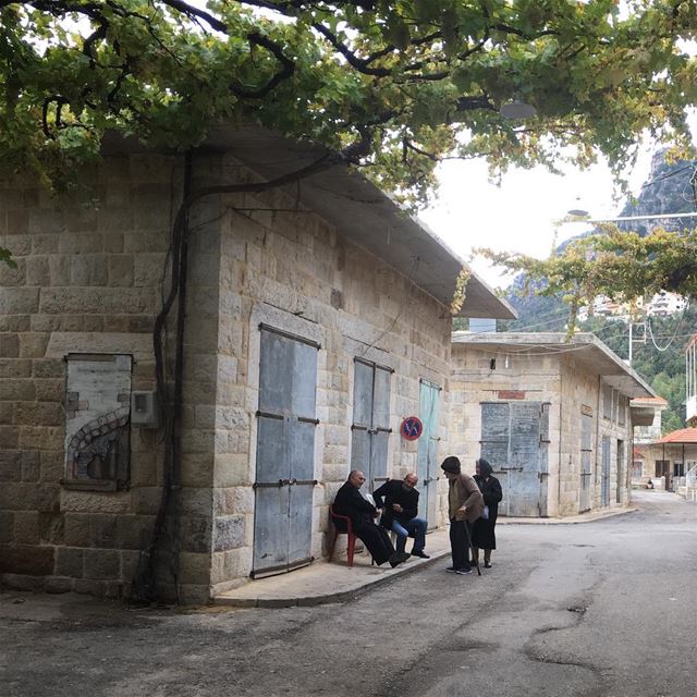 A group of elderly people meeting for a morning chat in Douma’s old souk 🍃 (Douma Souks)