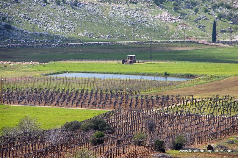 A Hike in kfarmishki Bekaa with Promax (kfarmishki, Bekaa)