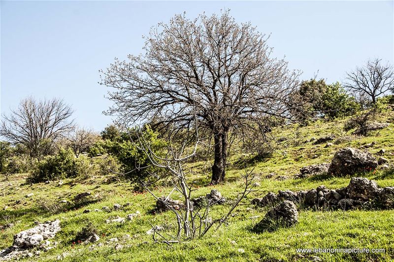 A Hike in kfarmishki Bekaa with Promax (kfarmishki, Bekaa)