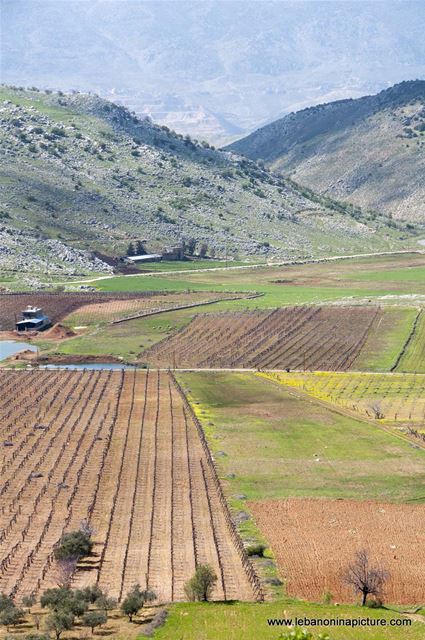 A Hike in kfarmishki Bekaa with Promax (kfarmishki, Bekaa)